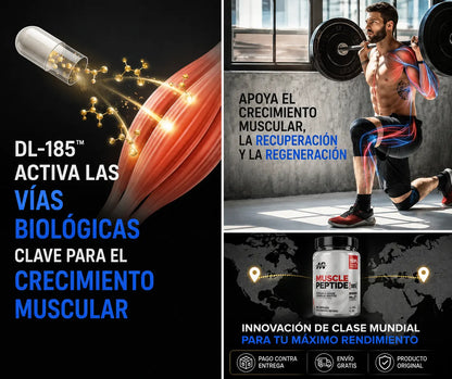Muscle Peptide 185 - 84 Capsules